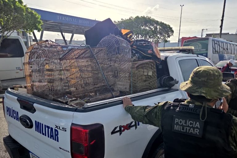 PM resgata mais de 150 aves silvestres e coíbe crimes ambientais no interior de SE