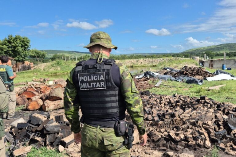 Operação Mandakaru é deflagrada com o objetivo de intensificar a fiscalização ambiental em SE