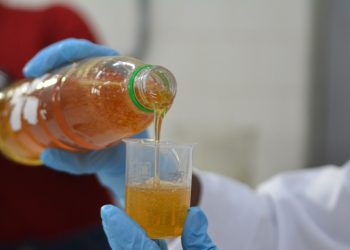 ITPS alerta sobre risco à saúde causado por mel adulterado ou contaminado