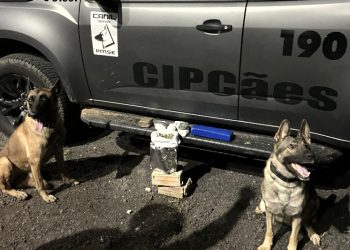 PM apreende drogas durante a Operação Protetor de Divisas com ajuda de cão farejador
