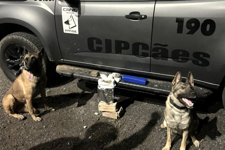 PM apreende drogas durante a Operação Protetor de Divisas com ajuda de cão farejador