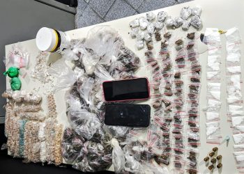 Delegacia de Poço Verde apreende cerca de 20 quilos de drogas