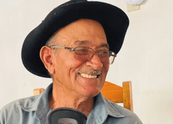 Idoso morre após ser atacado por abelhas em Gararu