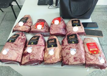 Polícia Militar prende mulher por suspeita de furto em estabelecimento comercial da Zona Sul de Aracaju