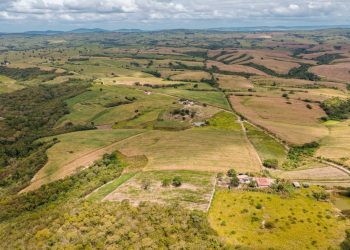 Assentamento Grelmar Brand ganha ações para fortalecer produção de milho em Lagarto