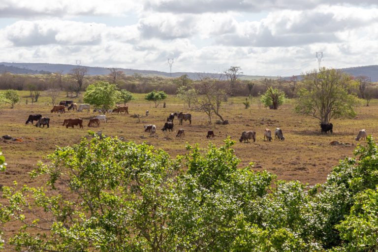 Previsão do tempo indica céu parcialmente nublado em Sergipe neste fim de semana