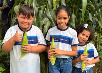 Hortas escolares fortalecem aprendizado e aproximam estudantes da agricultura em Lagarto