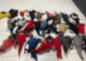Rinha de galos é encerrada e homem é preso por maus-tratos contra animais em Neópolis