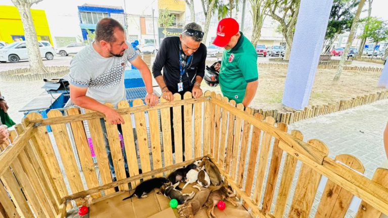 Feirinha de adoção animal já deu novo lar a 50 animais nos últimos quatro meses em Lagarto