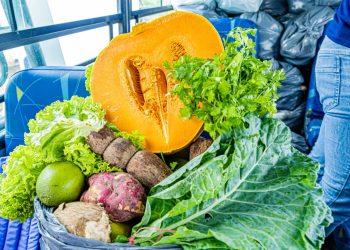 PAA realiza novas entregas de alimentos da agricultura familiar em Lagarto