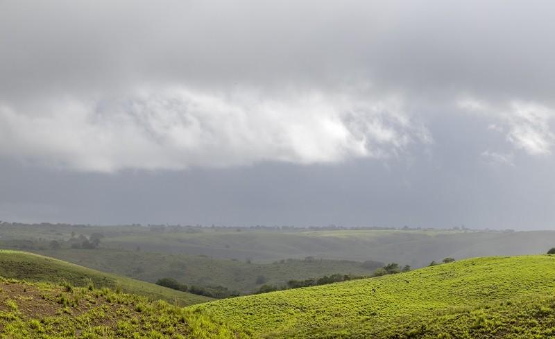 temponublado_Fotoigormatias_210426