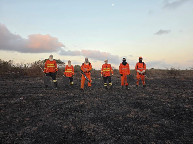 Incêndio em vegetação mobiliza Bombeiros e GTA próximo ao Hospital do Amor, em Lagarto