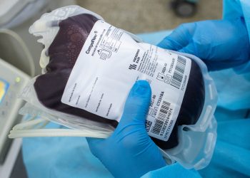 Hemose orienta sobre novos critérios para doação de sangue