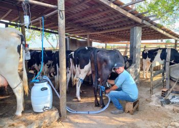Produção de leite em Sergipe é a segunda que mais cresce no Nordeste