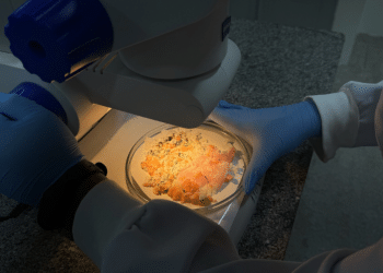 ITPS orienta sobre cuidados no preparo e armazenamento de marmitas